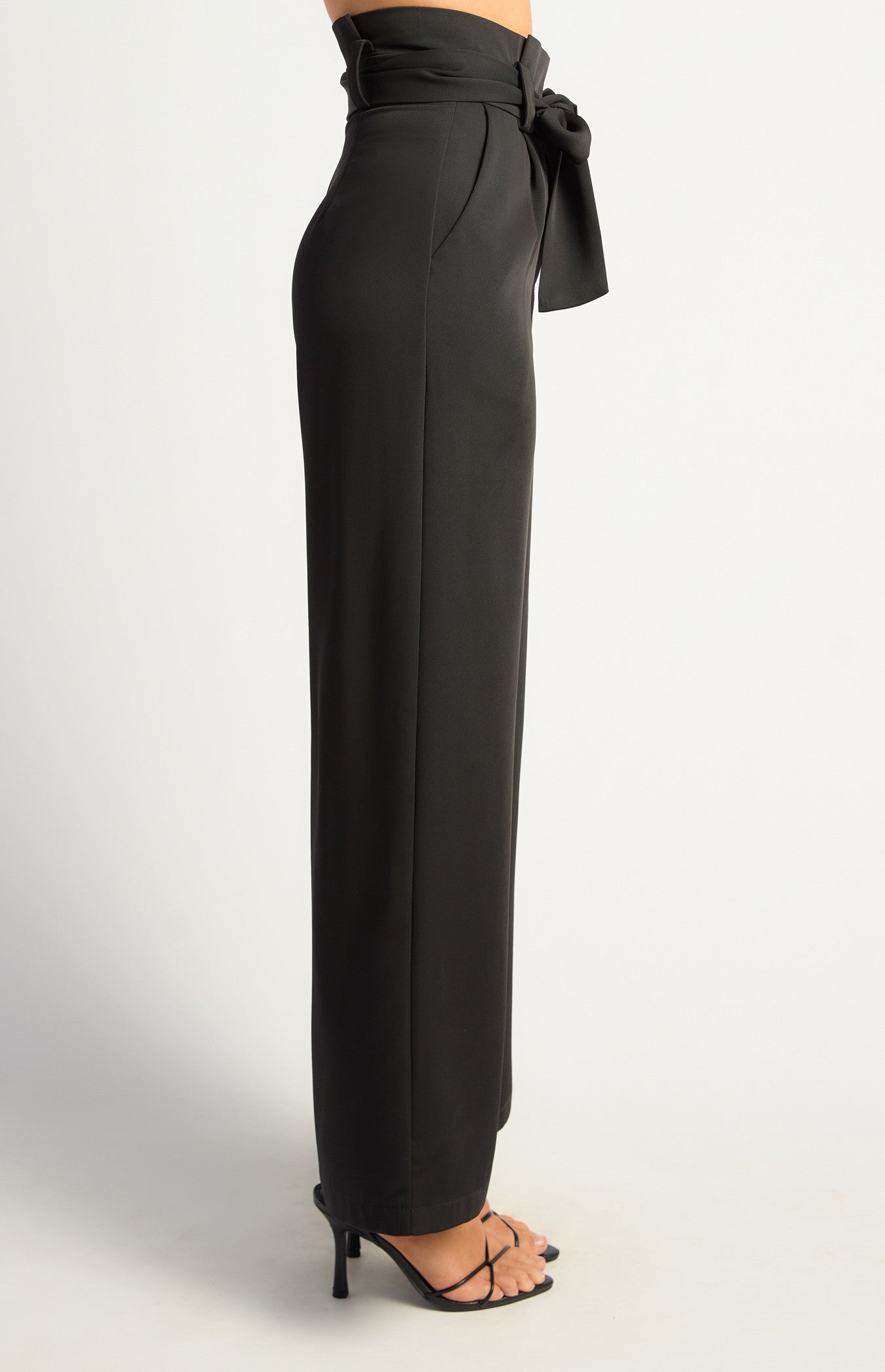 Paper Bag Waist Wide Leg Pants