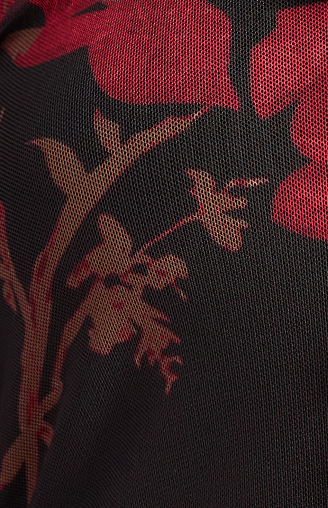 Floral Print Mesh Top with Frill Detail Neckline