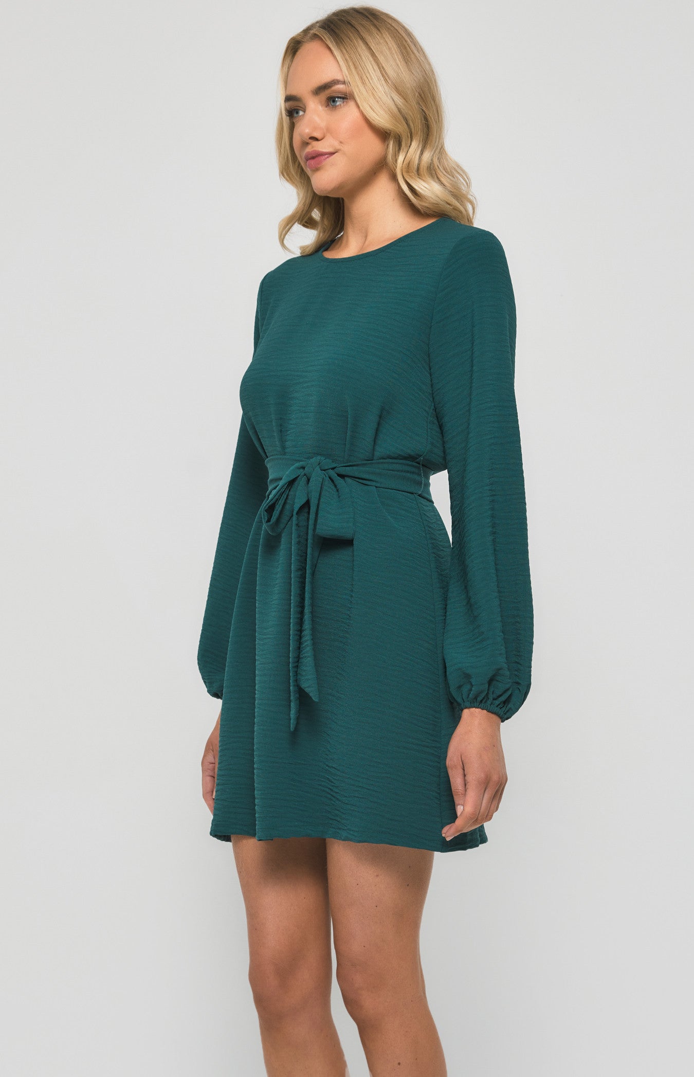 Round Neckline Long Sleeve Shift Dress